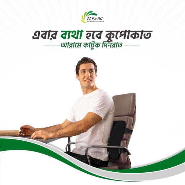 Back Support Pillow