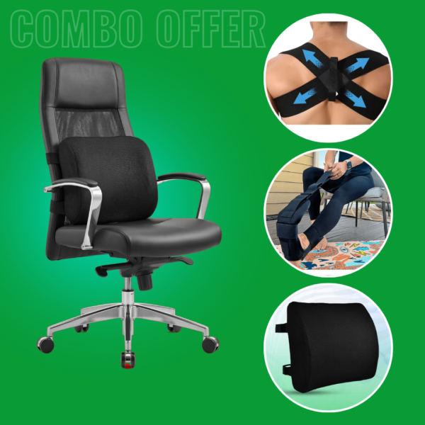 Back Support + Posture Belt + Stretching Strap